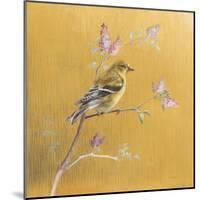 Female Goldfinch on Gold-Danhui Nai-Mounted Art Print