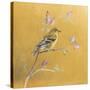 Female Goldfinch on Gold-Danhui Nai-Stretched Canvas