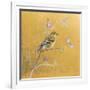 Female Goldfinch on Gold-Danhui Nai-Framed Art Print