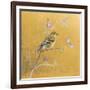 Female Goldfinch on Gold-Danhui Nai-Framed Art Print