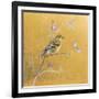 Female Goldfinch on Gold-Danhui Nai-Framed Art Print