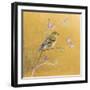 Female Goldfinch on Gold-Danhui Nai-Framed Art Print