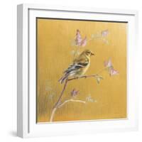 Female Goldfinch on Gold-Danhui Nai-Framed Art Print