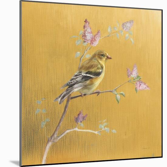 Female Goldfinch on Gold-Danhui Nai-Mounted Art Print