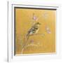 Female Goldfinch on Gold-Danhui Nai-Framed Art Print