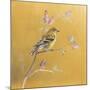 Female Goldfinch on Gold-Danhui Nai-Mounted Art Print