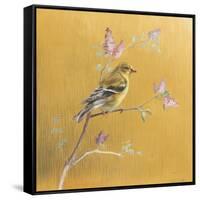 Female Goldfinch on Gold-Danhui Nai-Framed Stretched Canvas