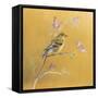 Female Goldfinch on Gold-Danhui Nai-Framed Stretched Canvas