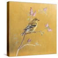 Female Goldfinch on Gold-Danhui Nai-Stretched Canvas
