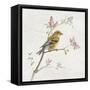 Female Goldfinch Vintage-Danhui Nai-Framed Stretched Canvas