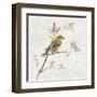 Female Goldfinch Vintage-Danhui Nai-Framed Art Print