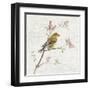 Female Goldfinch Vintage-Danhui Nai-Framed Art Print