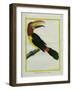 Female Green Aracari-Georges-Louis Buffon-Framed Giclee Print