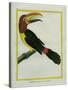 Female Green Aracari-Georges-Louis Buffon-Stretched Canvas