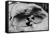 Female gymnast in desert, Overton, Nevada, USA-Pete Saloutos-Framed Stretched Canvas