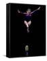 Female Gymnast Performing on the Balance Beam-null-Framed Stretched Canvas