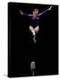 Female Gymnast Performing on the Balance Beam-null-Stretched Canvas