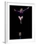 Female Gymnast Performing on the Balance Beam-null-Framed Photographic Print