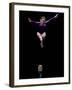 Female Gymnast Performing on the Balance Beam-null-Framed Photographic Print