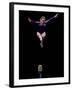 Female Gymnast Performing on the Balance Beam-null-Framed Photographic Print