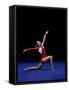 Female Gymnast Performing on the Floor Exercise-null-Framed Stretched Canvas