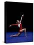 Female Gymnast Performing on the Floor Exercise-null-Stretched Canvas