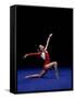 Female Gymnast Performing on the Floor Exercise-null-Framed Stretched Canvas