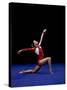 Female Gymnast Performing on the Floor Exercise-null-Stretched Canvas