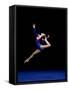 Female Gymnast Performing on the Floor Exercise-null-Framed Stretched Canvas