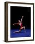 Female Gymnast Performing on the Floor Exercise-null-Framed Photographic Print