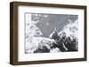 Female Gyrfalcon (Falco Rusticolus) in Snow, Myvatn, Thingeyjarsyslur, Iceland, April 2009-Bergmann-Framed Photographic Print