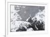 Female Gyrfalcon (Falco Rusticolus) in Snow, Myvatn, Thingeyjarsyslur, Iceland, April 2009-Bergmann-Framed Photographic Print