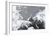 Female Gyrfalcon (Falco Rusticolus) in Snow, Myvatn, Thingeyjarsyslur, Iceland, April 2009-Bergmann-Framed Photographic Print