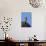 Female Gyrfalcon (Falco Rusticolus) on Rock, Myvatn, Thingeyjarsyslur, Iceland, April 2009-Bergmann-Photographic Print displayed on a wall