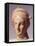 Female Head, Alexandrian Statue in Terracotta BC-null-Framed Stretched Canvas