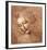 Female Head (La Scapigliata), c.1508-Leonardo da Vinci-Framed Art Print