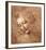 Female Head (La Scapigliata), c.1508-Leonardo da Vinci-Framed Art Print