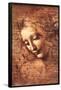 Female Head (La Scapigliata), c.1508-Leonardo da Vinci-Framed Poster