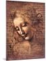 Female Head, La Scapigliata-Leonardo da Vinci-Mounted Art Print
