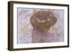 Female Head with Flower Wreath from Hall of the Sturgeon-Cesare Laurenti-Framed Art Print