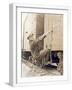 White Frame