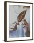 Female Holding a Leaf-Carolina Hernandez-Framed Photographic Print