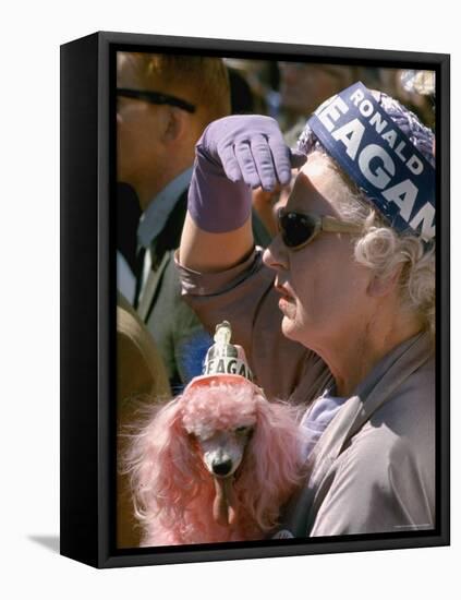 Female Holding Pink Poodle Wearing Hat Emblazoned with Reagan During Campaign Speech-Bill Ray-Framed Stretched Canvas