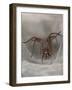Female House spider in old stone wall, Somerset, UK-Nick Upton-Framed Photographic Print