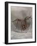 Female House spider in old stone wall, Somerset, UK-Nick Upton-Framed Photographic Print