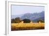 Female impala (Aepyceros melampus), Mlilwane Wildlife Sanctuary, Swaziland, Africa-Christian Kober-Framed Photographic Print