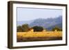 Female impala (Aepyceros melampus), Mlilwane Wildlife Sanctuary, Swaziland, Africa-Christian Kober-Framed Photographic Print