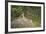 Female Impala (Aepyceros Melampus) Running, Kruger National Park, South Africa, Africa-James Hager-Framed Photographic Print