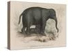 Female Indian Elephant Suckling Her Young-Victor Jean Adam-Stretched Canvas
