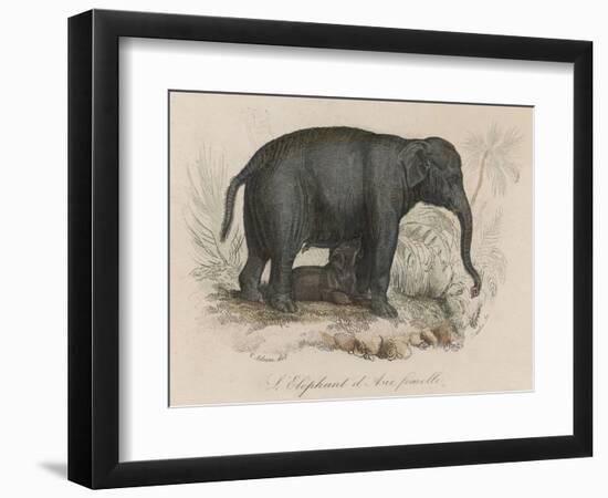 Female Indian Elephant Suckling Her Young-Victor Jean Adam-Framed Art Print